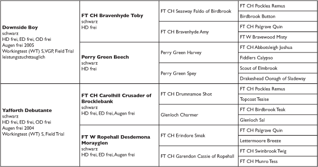 Pedigree of Beechdale's Ace